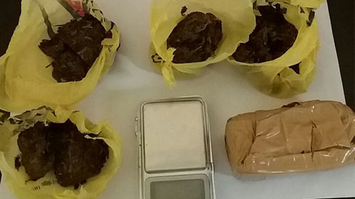 Maconha é encontrada em guarda roupas e forro de moradia em Assis