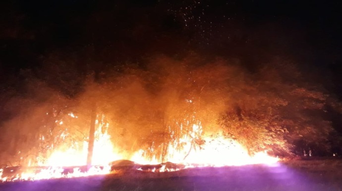 Fogo se alastra pela margem do Parque da FICAR