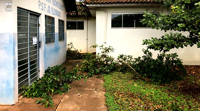 Secretaria orienta assisenses sobre casos de árvores com risco de queda