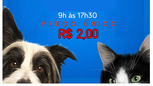 Coisa de Bicho realiza bazar nos dias 9 e 10 de junho, em Assis
