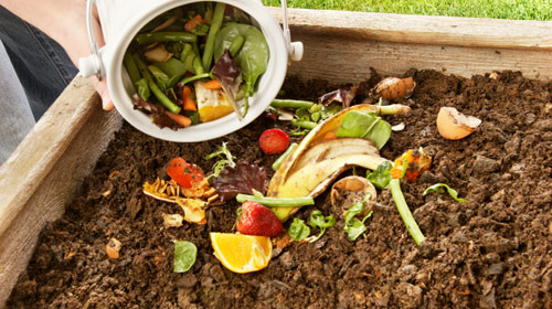 Compostagem doméstica: fácil e sustentável