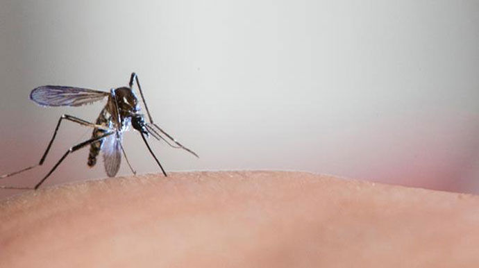 Assis tem 40 casos de dengue confirmados em 2020