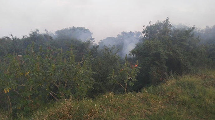 Bombeiros combatem incêndio em vegetação no final da Getúlio Vargas