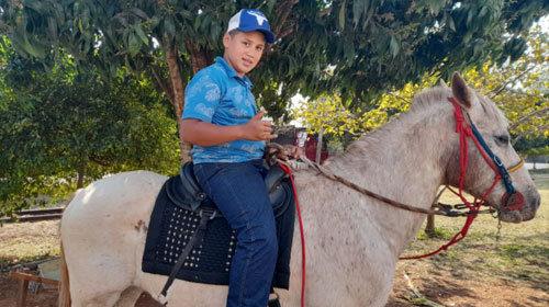 Menino de 12 anos encontra cavalo usado para equoterapia que estava desaparecido em Assis