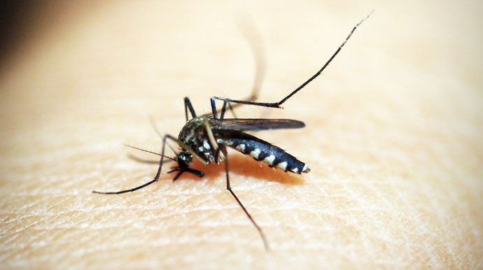 Assis chega a 570 casos positivos de Dengue