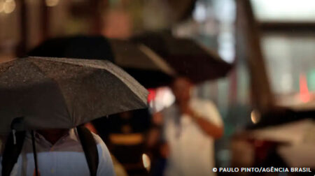 Estudo feito por pesquisadores da Universidade Estadual de Campinas (Unicamp) mostra que a água da chuva pode estar contaminada por agrotóxicos