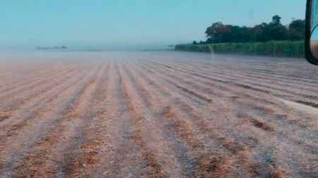 Área rural de Assis amanhaceu congelada após madrugada mais fria do ano - FOTO: Enviada ao Portal AssisCity