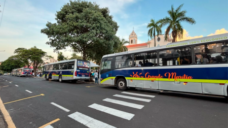 Empresa vencedora da licitação da Prefeitura para operar ônibus coletivos em Assis é de Marília - FOTO: Divulgação