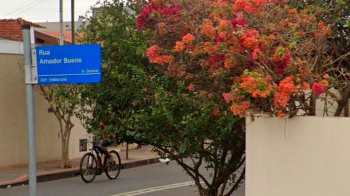 Moradores solicitam instalação de dispositivos após atropelamentos de animais na Rua Amador Bueno, em Assis