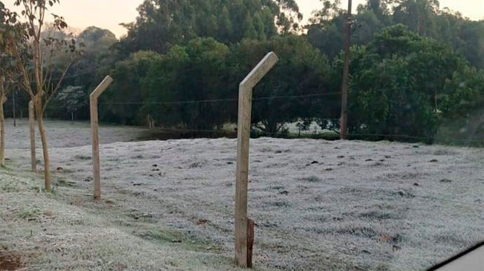 Termômetros marcam 0,6°C e Assis registra madrugada mais fria do ano com geada intensa na zona rural Área rura de Assis amanhaceu congelada - FOTO: Fábio Crepaldi/Enviada ao Portal AssisCity