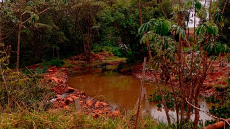 Nível do ribeirão está muito baixo - FOTO: Enviado ao Portal AssisCity