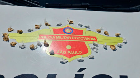 Drogas foram apreendidas - FOTO: Polícia Militar Rodoviária/Divulgação