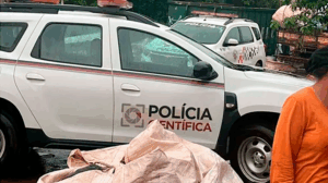 Feto foi encontrado por trabalhadores - FOTO: Diário do Vale/Reprodução