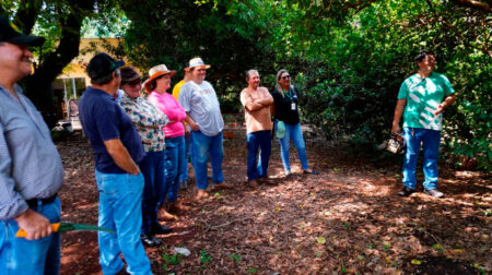 Participantes aprendem técnicas de poda e manejo correto de árvores durante curso. Foto: Prefeitura de Pedrinhas