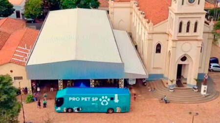 O mutirão faz parte de ações permanentes do Centro de Triagem Animal (CTA), que atua durante todo o ano no controle populacional dos pets. Foto: Prefeitura/ Divulgação
