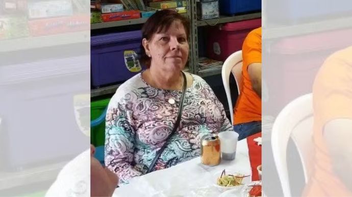 Mulher morre após ataque de abelhas dentro de casa em Botucatu; marido e filho estão internados Mulher morreu após ataque de abelhas africanizadas. Foto: Reprodução/G1