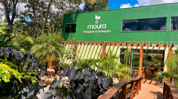 Moura Paisagismo & Jardinagem realiza evento de vasos e plantas neste sábado, 28