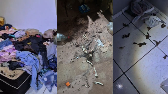 Mulher é presa após criança ser resgatada em situação de abandono em Assis; casa tinha sujeira, fezes e ossadas de animais