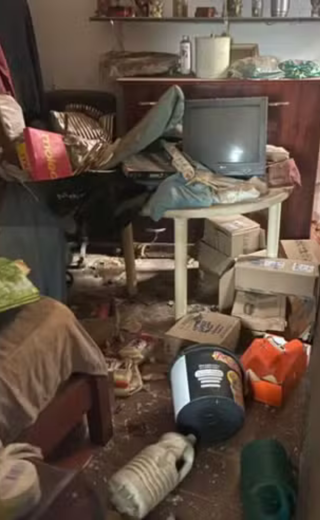 Local em que os animais viviam e foram encontrados. Foto: PM Ambiental