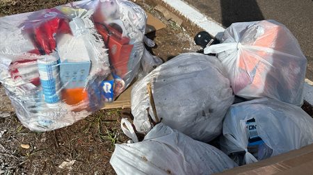 Segundo secretário, coleta de lixo deixará de ser realizada diariamente em Assis - FOTO: Portal AssisCity