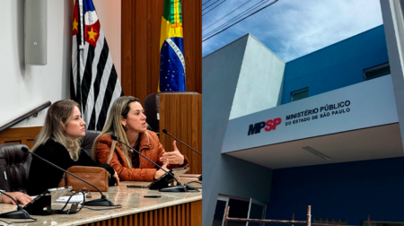 Amanda Maílio Santana, secretária municipal de Saúde de Assis, durante oitiva na Câmara Municipal - FOTO: Câmara Municipal de Assis/Arquivo/Reprodução